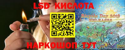 шишки Берёзовский